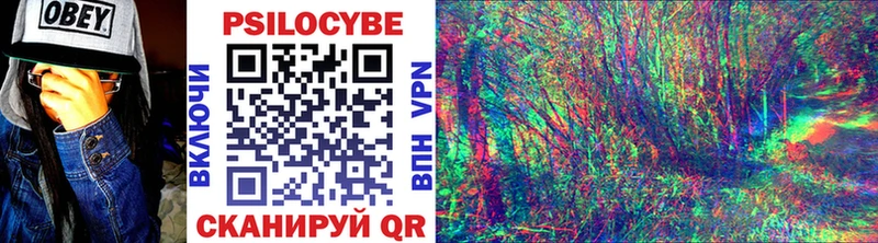 даркнет сайт  Нахабино  Псилоцибиновые грибы Psilocybe 